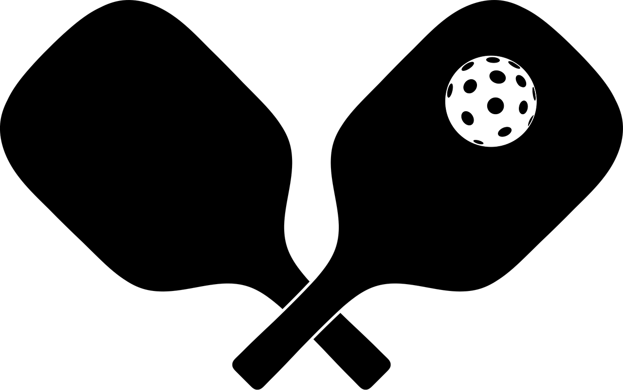 Pickleball paddle and ball
